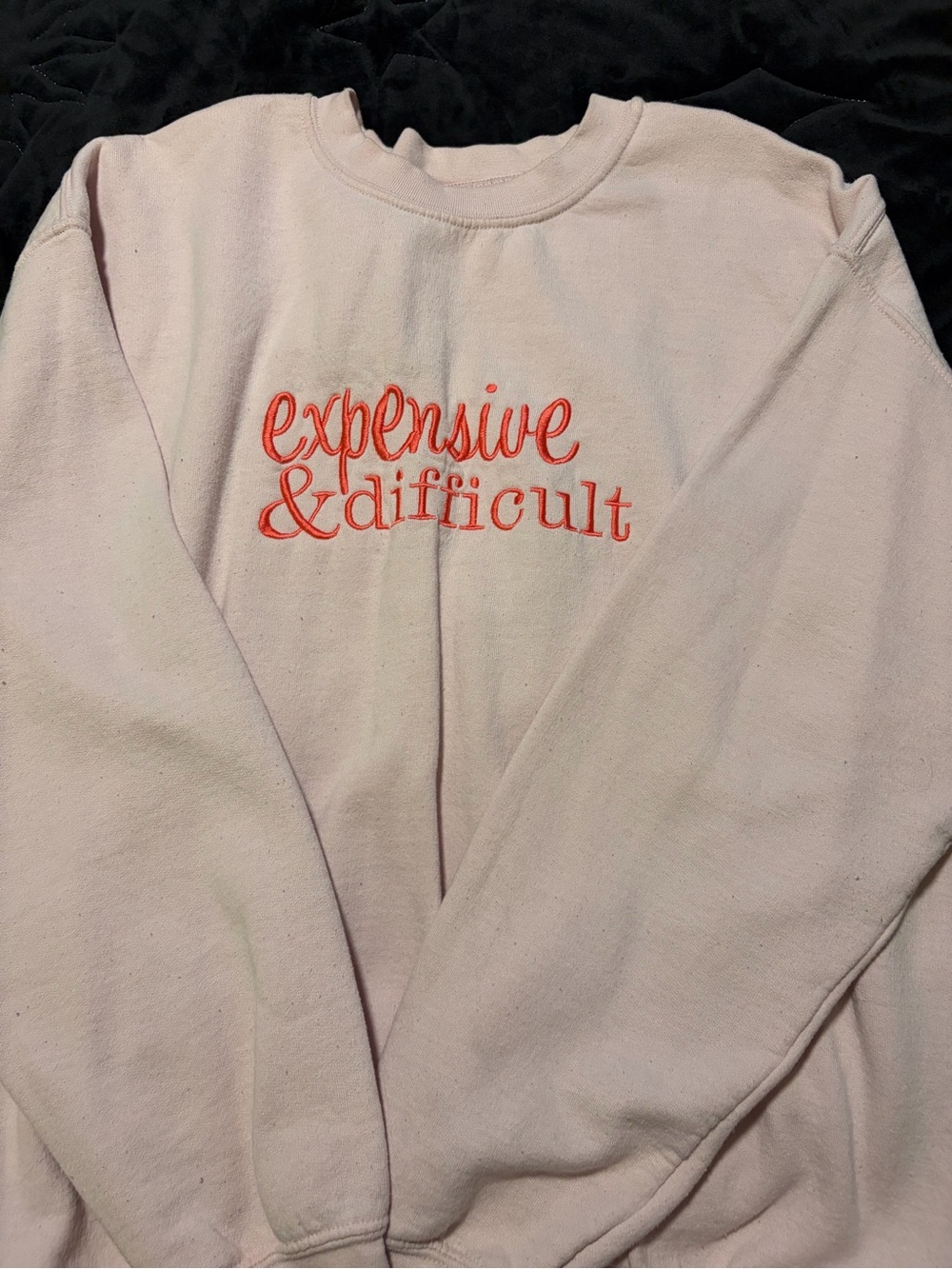'expensive & difficult' Embroidered Light Pink Sweatshirt